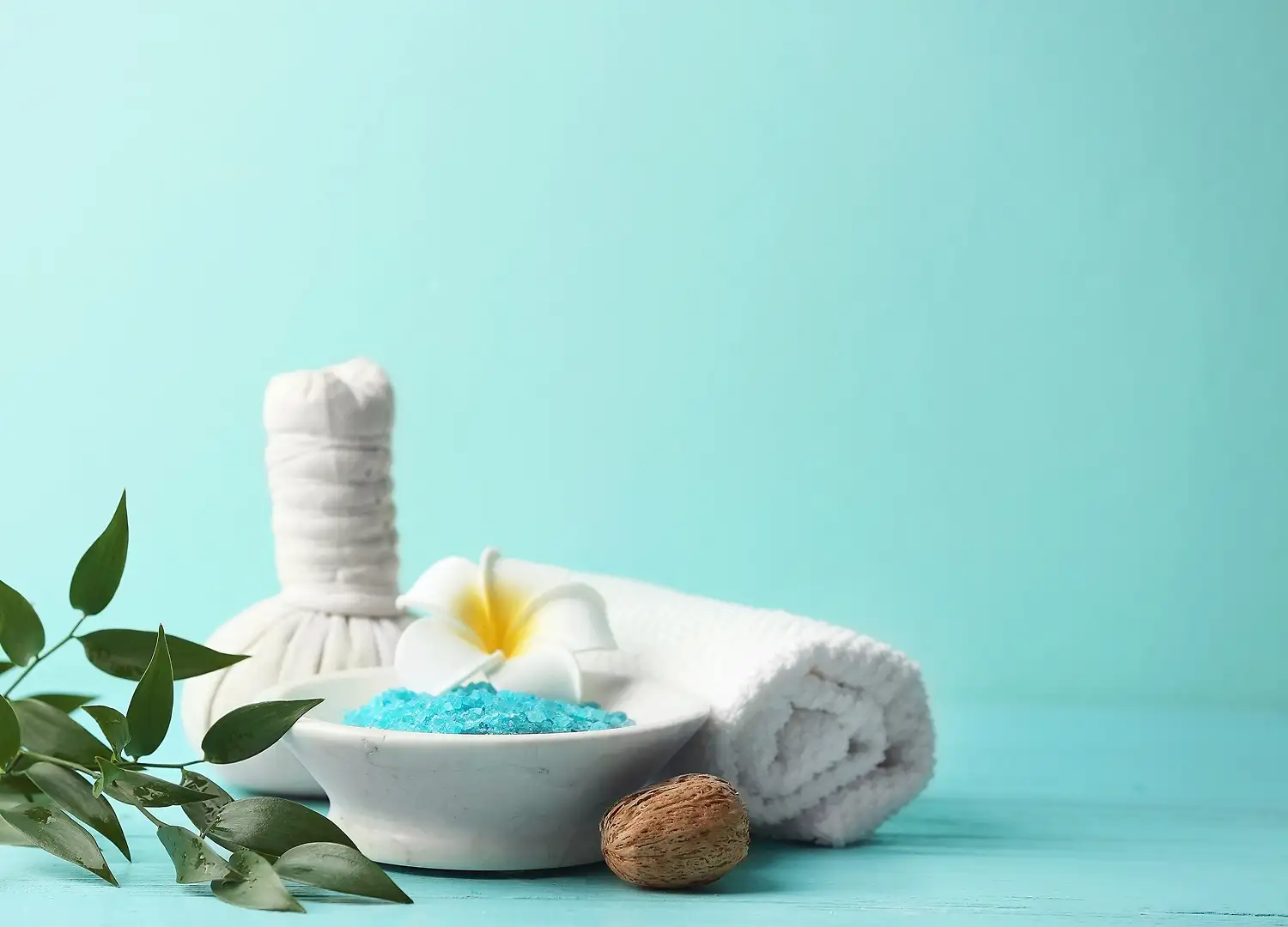 Beauty Salon and Products