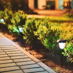 Home Decor and Garden