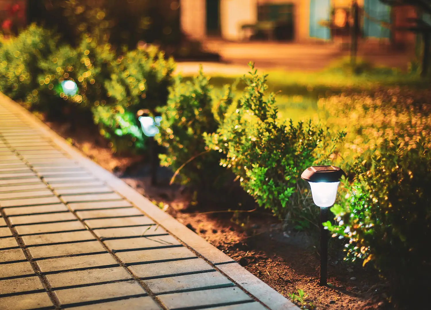 Home Decor and Garden