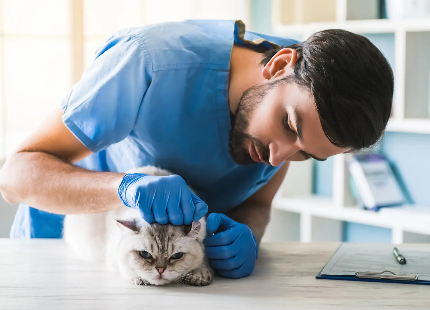 Pets and Pet Care